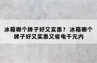 冰箱哪个牌子好又实惠？ 冰箱哪个牌子好又实惠又省电千元内